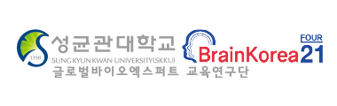 BK 교육연구단 
